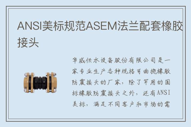 ANSI美标规范ASEM法兰配套橡胶接头