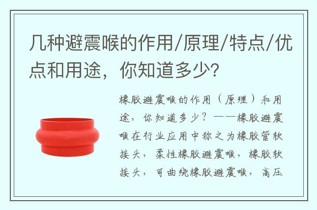 几种避震喉的作用/原理/特点/优点和用途，你知道多少？