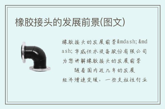 橡胶接头的发展前景(图文)